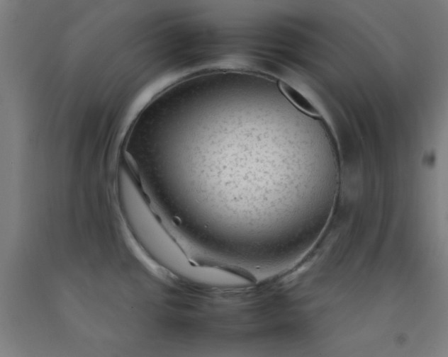 X0000092211437200709281014