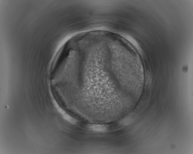 X0000092211439200709281014