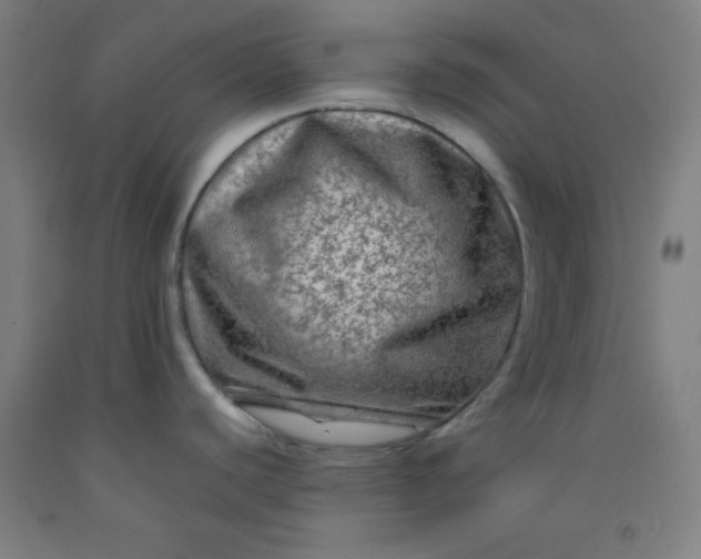 X0000092211440200709281014