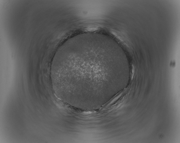 X0000092211441200709281013