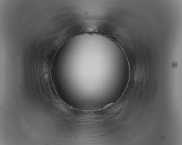 X0000092211442200709281013