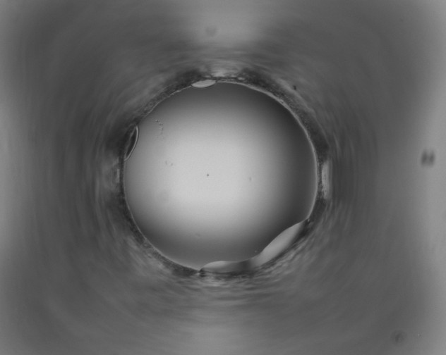 X0000092211443200709281013