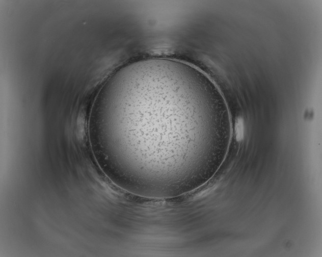 X0000092211444200709281013