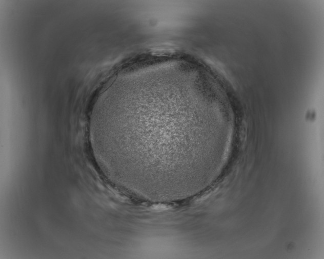 X0000092211445200709281013