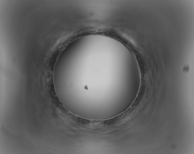 X0000092211447200709281013