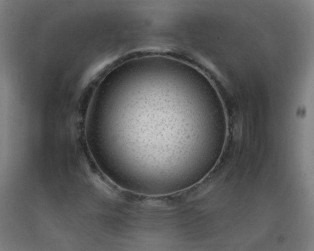 X0000092211448200709281013