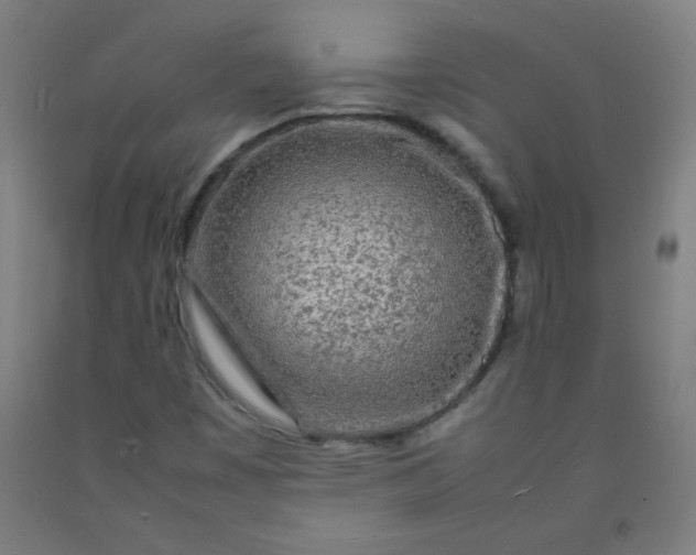 X0000092211449200709281013