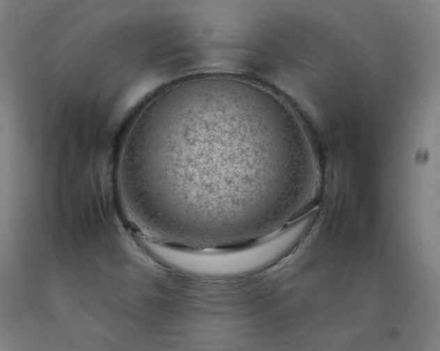 X0000092211450200709281013