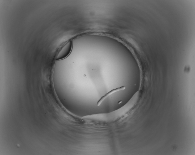 X0000092211451200709281013