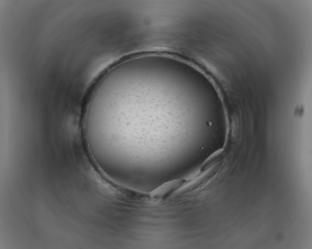 X0000092211452200709281013