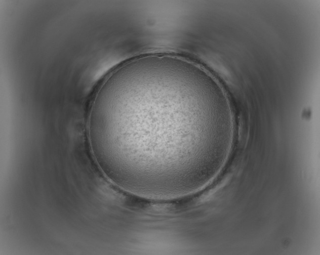 X0000092211453200709281013