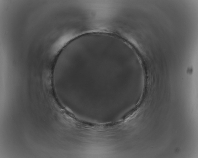 X0000092211455200709281013