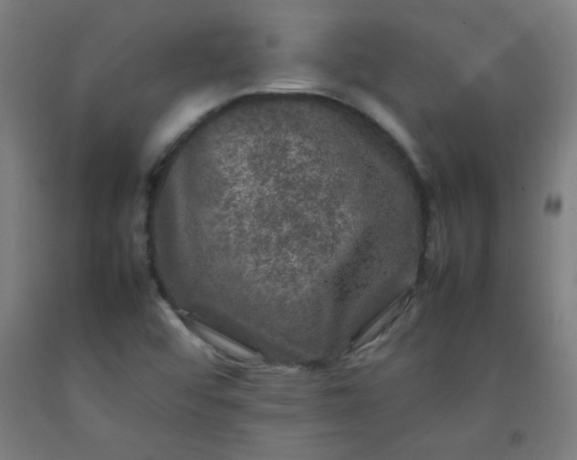 X0000092211456200709281013