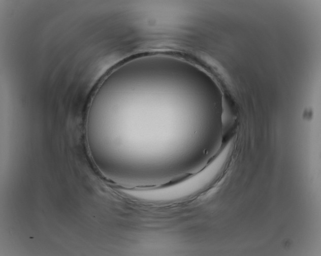 X0000092211457200709281013