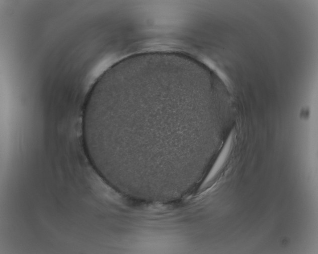 X0000092211459200709281013