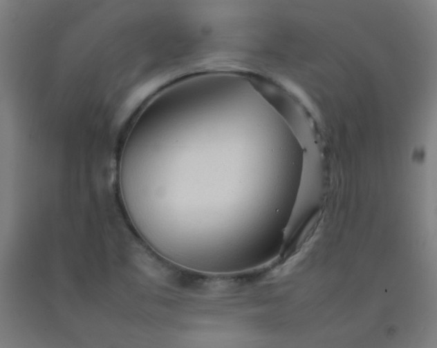 X0000092211461200709281013