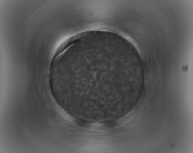 X0000092211463200709281013