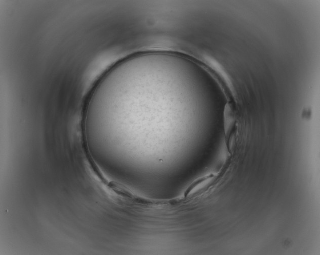 X0000092211464200709281013