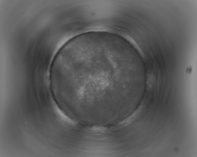 X0000092211466200709281013