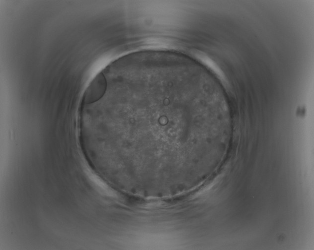 X0000092211467200709281013