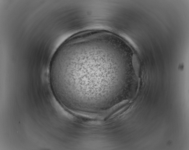 X0000092211468200709281013