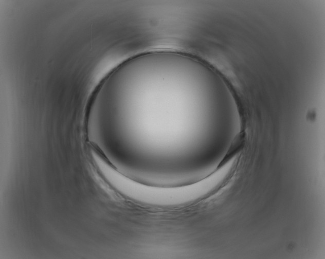 X0000092211469200709281013