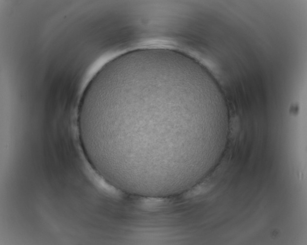 X0000092211470200709281013