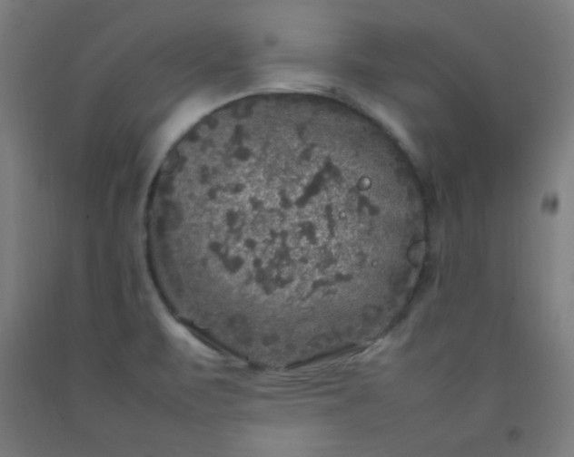 X0000092211471200709281013