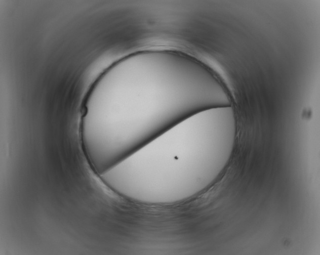 X0000092211472200709281013