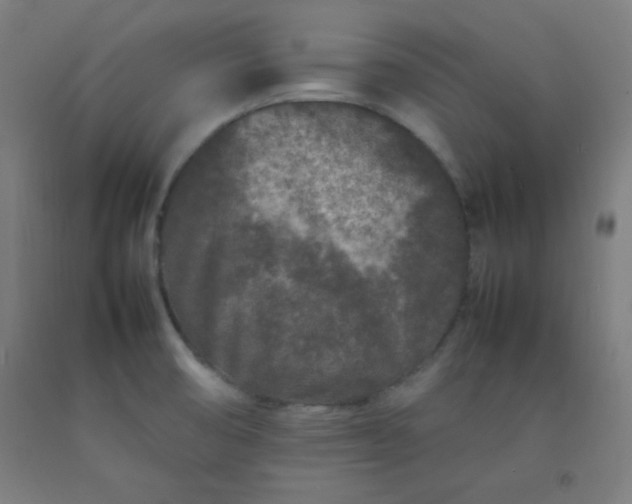 X0000092211474200709281013