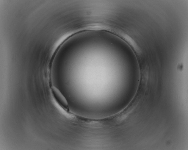 X0000092211476200709281013