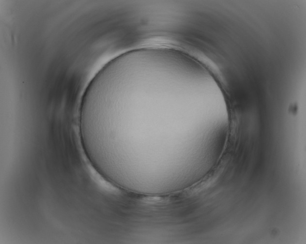 X0000092211478200709281013