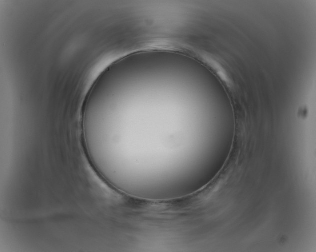 X0000092211479200709281013