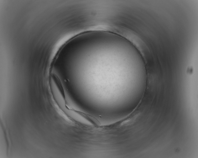 X0000092211480200709281013