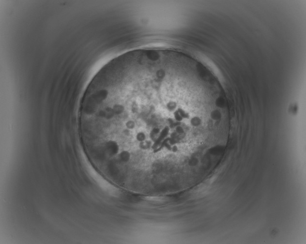 X0000092211483200709281012