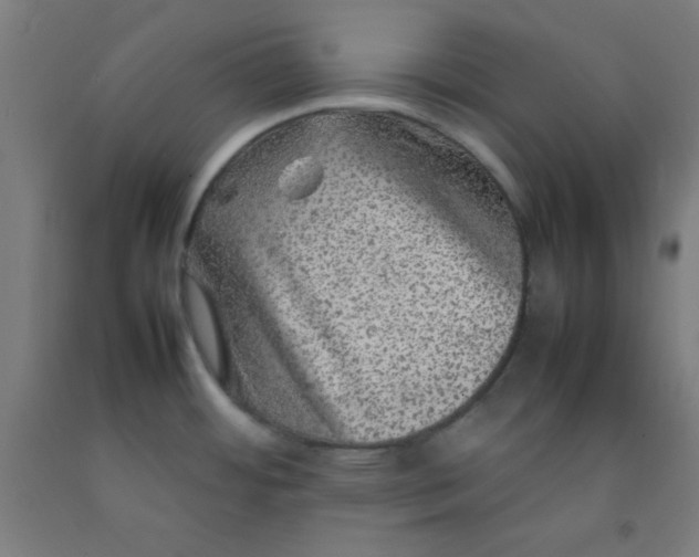 X0000092211484200709281012