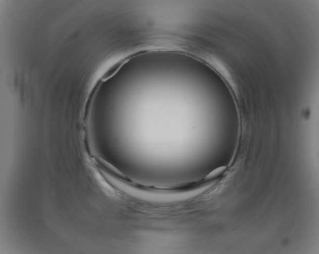 X0000092211485200709281012