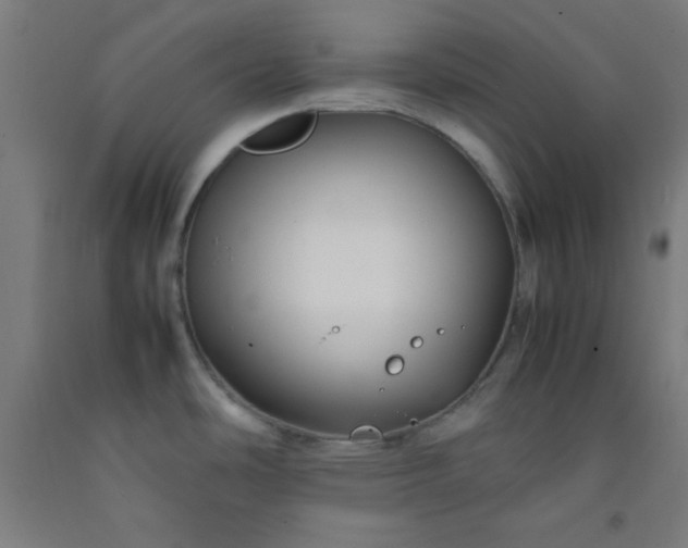 X0000092211486200709281012