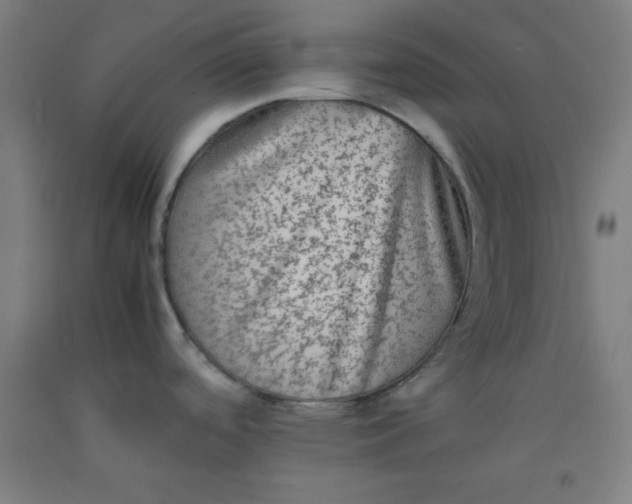 X0000092211488200709281012