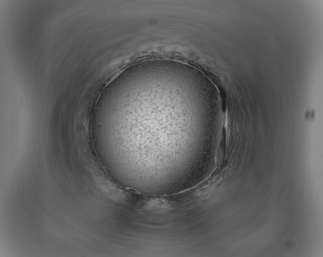 X0000092211489200709281012