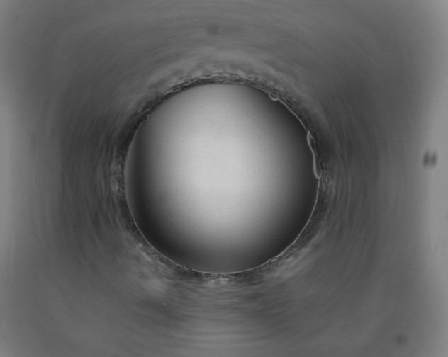 X0000092211490200709281012