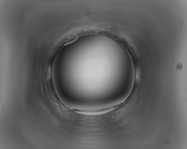 X0000092211492200709281012