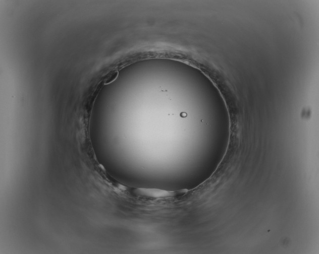 X0000092211493200709281012