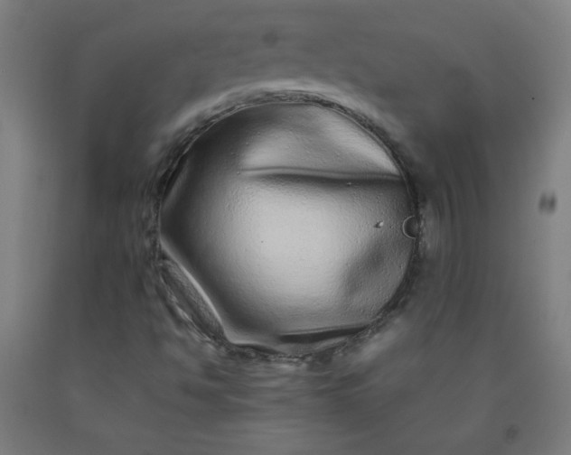 X0000092211494200709281012