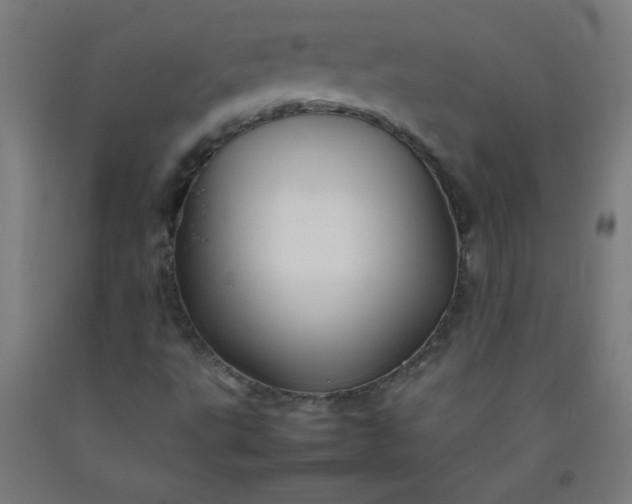 X0000092211495200709281012