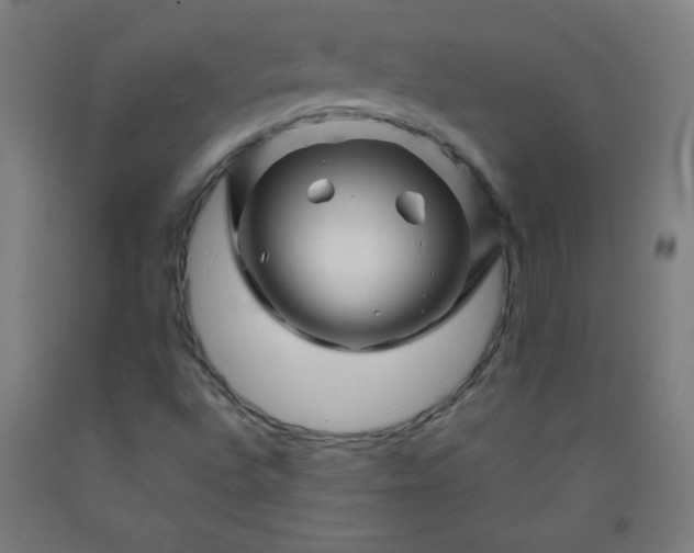 X0000092211496200709281012