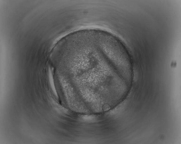 X0000092211497200709281012