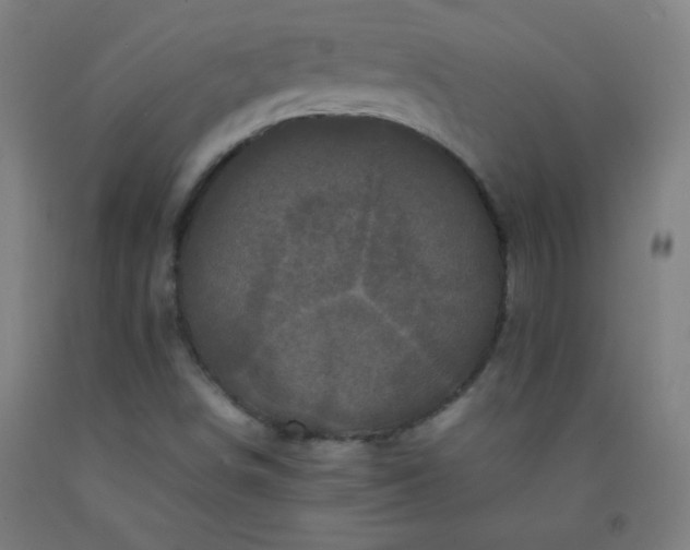 X0000092211498200709281012