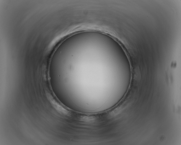 X0000092211499200709281012