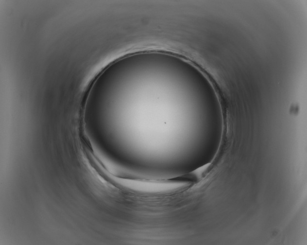 X0000092211500200709281012